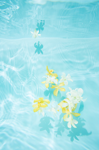 Fleurs dans eau - Prendre soin de soi - prendre du temps pour soi - drainage lymphatique - Cupping - retrouver confiance en soi