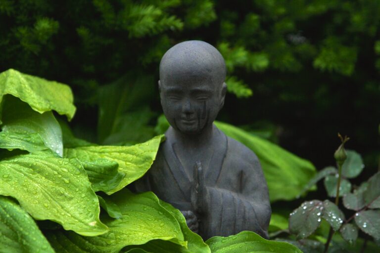 2. retrouver confiance en soi - libération émotionnelle - Chi Nei Tsang - reiki